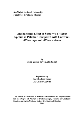 Antibacterial Effect of Some Wild Allium Species in Palestine Compared with Cultivars Allium Cepa and Allium Sativum