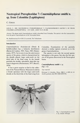 Neotropical Pterophoridae 7: Cnaemidophorus Smithi N. Sp. from Colombia (Lepidoptera)