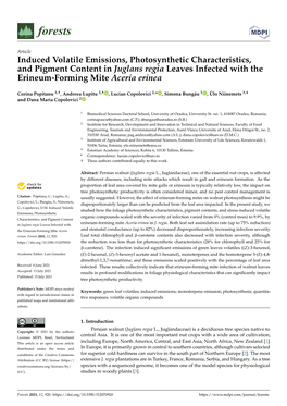 Induced Volatile Emissions, Photosynthetic Characteristics, and Pigment Content in Juglans Regia Leaves Infected with the Erineum-Forming Mite Aceria Erinea