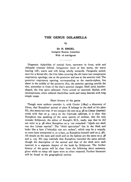 The Genus Dolabella