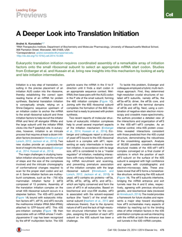 A Deeper Look Into Translation Initiation