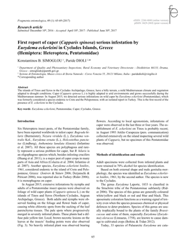 (Capparis Spinosa) Serious Infestation by Eurydema Eckerleini in Cyclades Islands, Greece (Hemiptera: Heteroptera, Pentatomidae) Konstantinos B