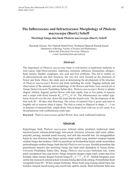 The Inflorescence and Infructescence Morphology of Phaleria Macrocarpa (Boerl.) Scheff Morfologi Bunga Dan Buah Phaleria Macrocarpa (Boerl.) Scheff