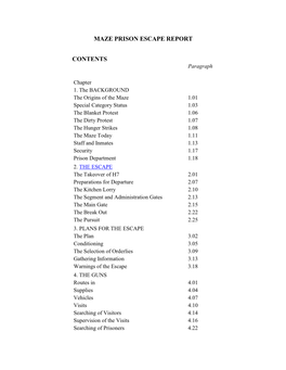 Maze Prison Escape Report