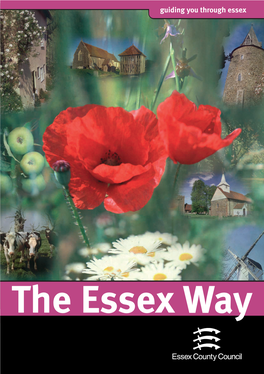 The Essex Way Welcome Welcomewelcome Tothe Essex Way