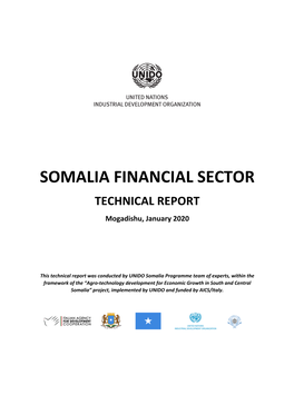 SOMALIA FINANCIAL SECTOR TECHNICAL REPORT Mogadishu, January 2020