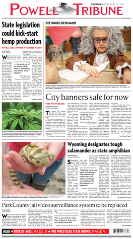 City Banners Safe for Now State Legislation Could Kick-Start Hemp