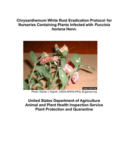 Chrysanthemum White Rust Eradication Protocol for Nurseries Containing Plants Infected with Puccinia Horiana Henn