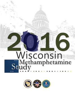 Wisconsin Methamphetamine Study
