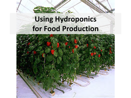 Hydroponic Systems: Engineering and Design