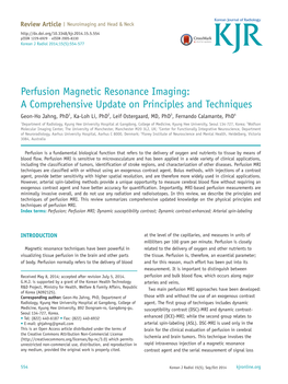 Perfusion Magnetic Resonance Imaging