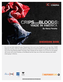 Teacher-Guide-Crips-And-Bloods.Pdf