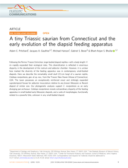 A Tiny Triassic Saurian from Connecticut and the Early Evolution of the Diapsid Feeding Apparatus