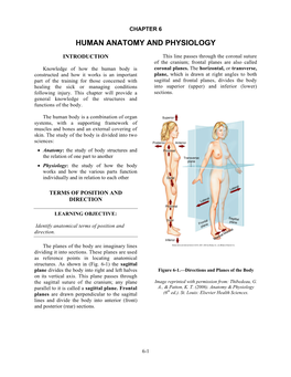 Human Anatomy and Physiology