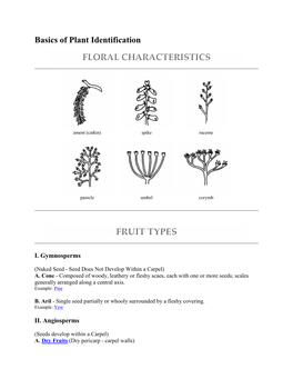 Basics of Plant Identification