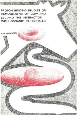 Proton Binding Studies on Hemoglobins of Cow and Eel and the Interaction with Organic Phosphates