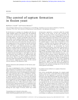 The Control of Septum Formation in Fission Yeast
