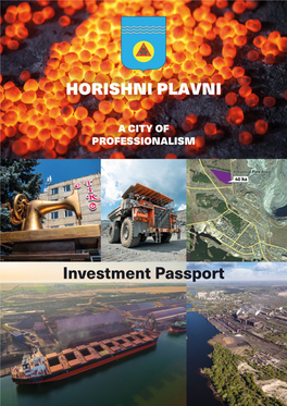 Investment Manifest of Horishni Plavni