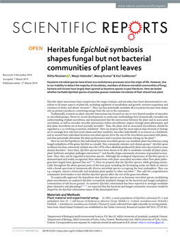 Heritable Epichloë Symbiosis Shapes Fungal but Not Bacterial