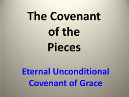 The Covenant of the Pieces