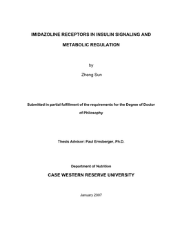 Imidazoline Receptors in Insulin Signaling And