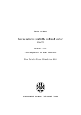 Norm-Induced Partially Ordered Vector Spaces