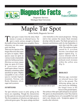 Maple Tar Spot Jackie Smith, Diagnostic Services Ar Spot Gets It Name from the Shiny Black Color Intensifies As the Season Progresses