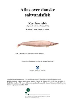 Kort Lakstobis, Magnisudis Atlantica