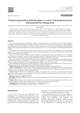 Natural Regeneration in Iberian Pines: a Review of Dynamic Processes and Proposals for Management
