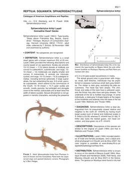 REPTILIA: SQUAMATA: SPHAERODACTYLIDAE Sphaerodactylus Kirbyi