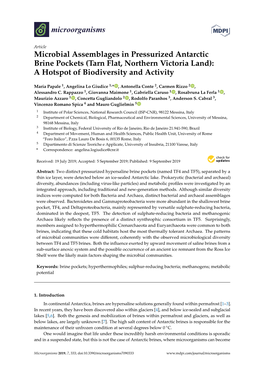 Microbial Assemblages in Pressurized Antarctic Brine Pockets (Tarn Flat, Northern Victoria Land): a Hotspot of Biodiversity and Activity