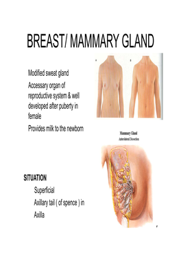 Breast/ Mammary Gland