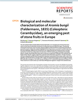 Biological and Molecular Characterization of Aromia Bungii