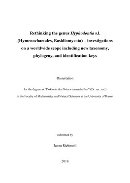 Dissertationjanettriebesehl.Pdf (516.2Kb)