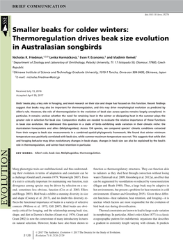 Thermoregulation Drives Beak Size Evolution in Australasian Songbirds