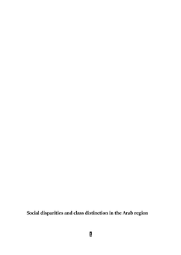 Social Disparities and Class Distinction in the Arab Region