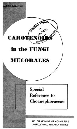 Special Reference to Choanephoraceae