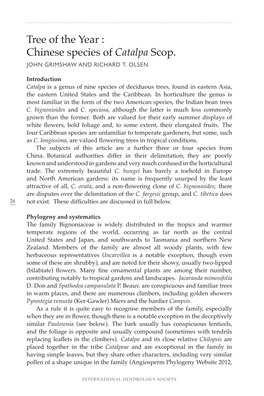 Tree of the Year : Chinese Species of Catalpa Scop. JOHN GRIMSHAW and RICHARD T
