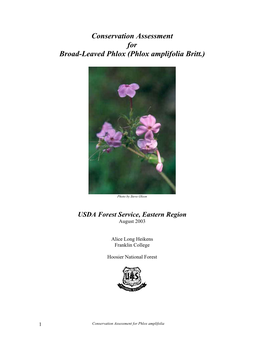 Large-Leaved Phlox, Broadleaf Phlox, and Wide-Leaved Phlox