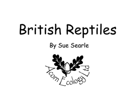 British Reptiles by Sue Searle