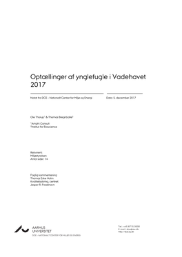 Optællinger Af Ynglefugle I Vadehavet 2017