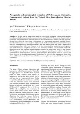 Phylogenetic and Morphological Evaluation of Wollea Saccata (Nostocales, Cyanobacteria) Isolated from the Yenissei River Basin (Eastern Siberia, Russia)