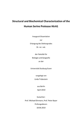 Dissertation Truebestein Final