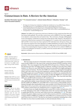 Coronaviruses in Bats: a Review for the Americas