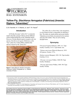 Yellow Fly, Diachlorus Ferrugatus (Fabricius) (Insecta: Diptera: Tabanidae)1