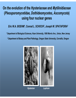 Pleosporomycetidae, Dothideomycetes, Ascomycota ) Using Four Nuclear Genes