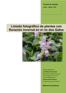 Listado Fotográfico De Plantas Con Floración Invernal En El Río Dos Gafos