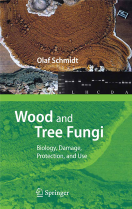 Wood and Tree Fungi Biology, Damage, Protection, and Use
