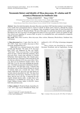 Taxonomic History and Identity of Musa Dasycarpa, M. Velutina and M