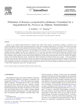 Pollination of Romulea Syringodeoflora (Iridaceae: Crocoideae) by a Long-Proboscid Fly, Prosoeca Sp. (Diptera: Nemestrinidae) ⁎ P